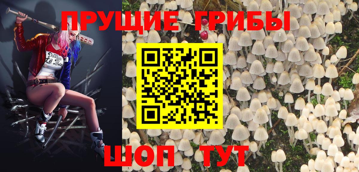 Псилоцибиновые грибы Magic Shrooms  Вход с VPN  Боровичи 
