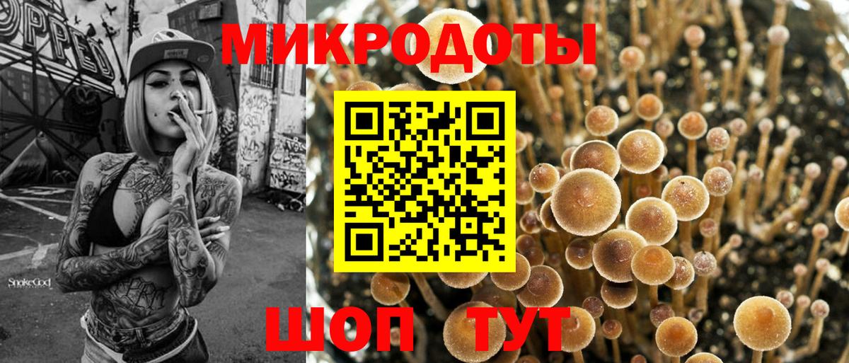 Галлюциногенные грибы MAGIC MUSHROOMS Боровичи